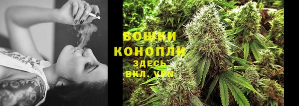 прущие грибы Братск