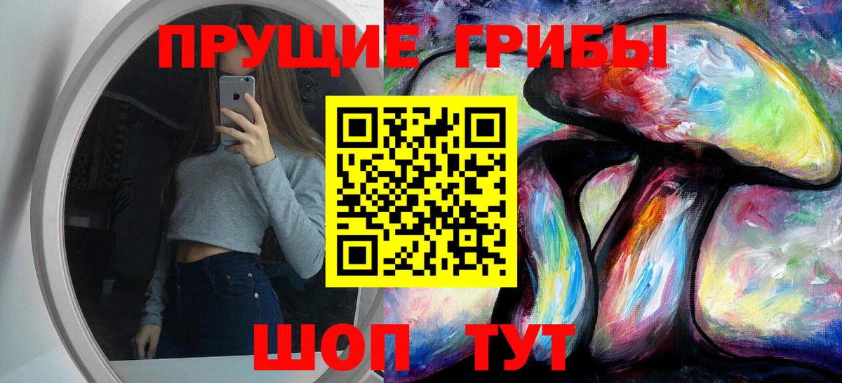 Ивантеевка  Псилоцибиновые грибы прущие грибы  Вход с VPN  Галлюциногенные грибы MAGIC MUSHROOMS 
