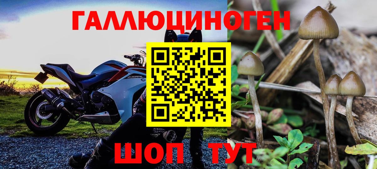 Псилоцибиновые грибы MAGIC MUSHROOMS Ивантеевка