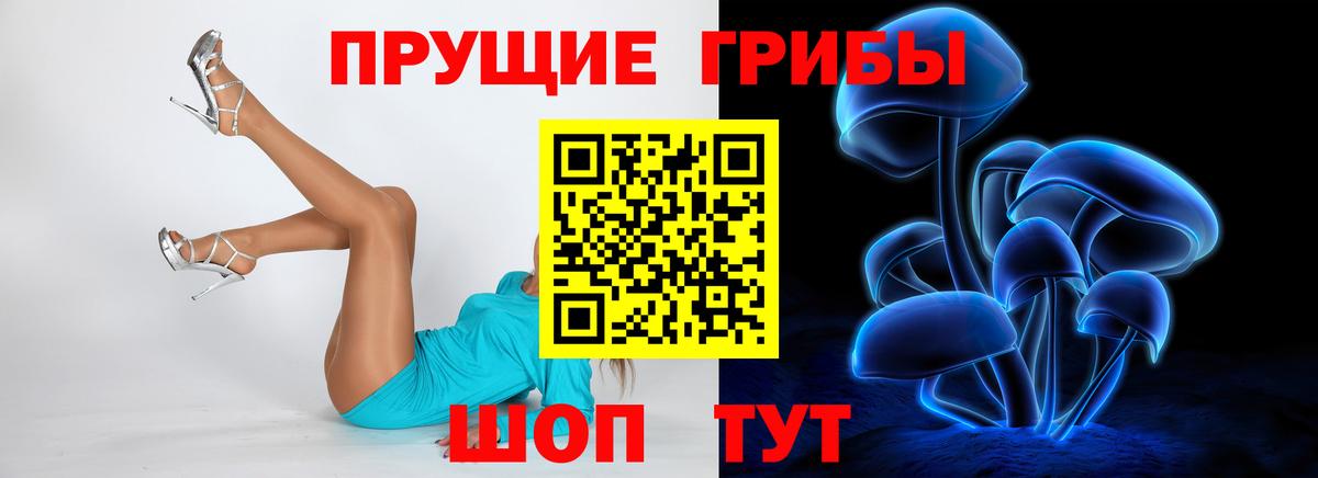 Галлюциногенные грибы прущие грибы  Ивантеевка  Псилоцибиновые грибы Psilocybe 